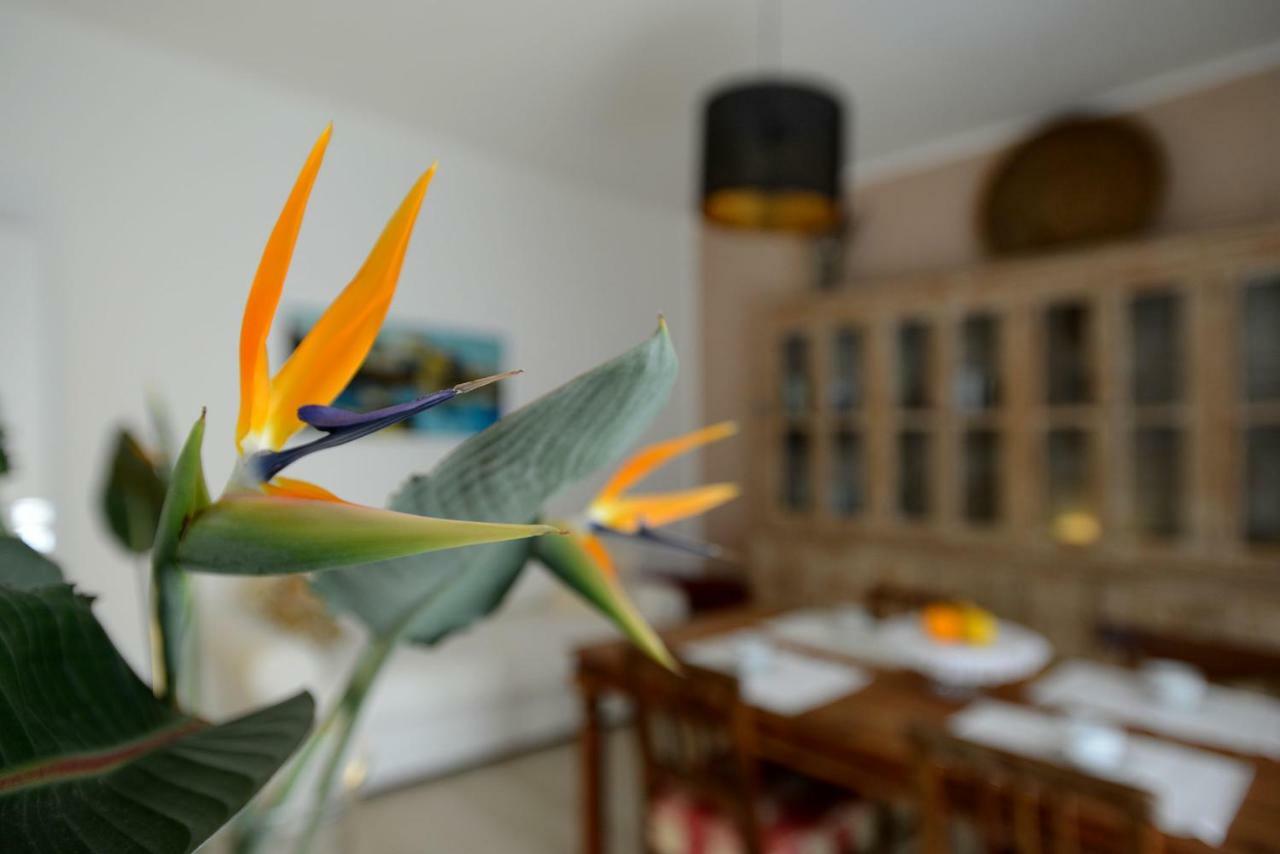 B&B Alghero 82 Екстер'єр фото